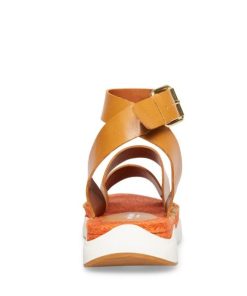 Ellenbruno.shop67c0506304 5