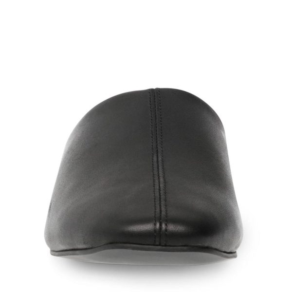 Ellenbruno.shopc62d093368 3