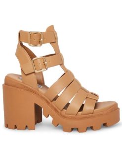 Ellenbruno.shopcbace04661 1